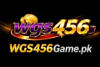 WGS456 Game
